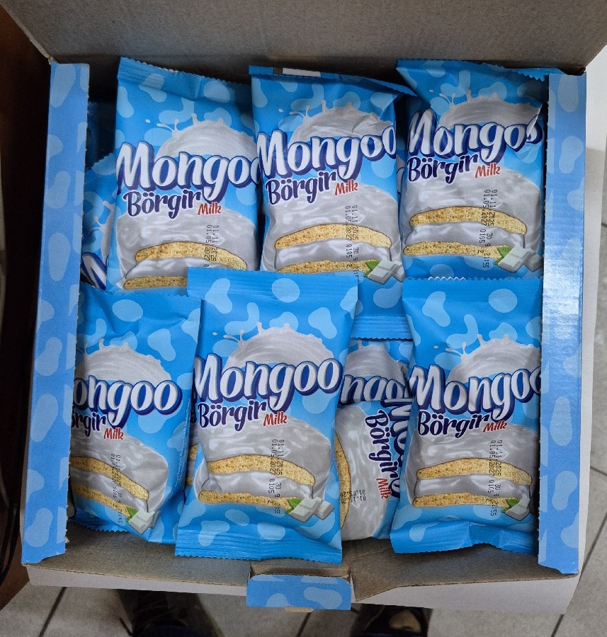 MANGO BÖRGİR 24 AD